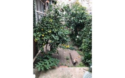 Maison avec 2 appts type 3 + local 200 m² + garage 110 m²