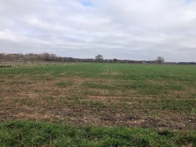 Terrain Agricole superficie de 5 000 m²