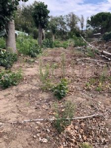 Cap d'agde&nbsp;Terrain à bâtir de 802 m² avec PC