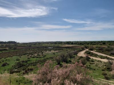 Agde La Tamarissière - Appt T2 + mezzanine Vue Hérault + garage