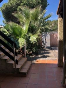 Agde Appartement type 3 + jardin à rénover !